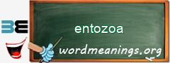 WordMeaning blackboard for entozoa